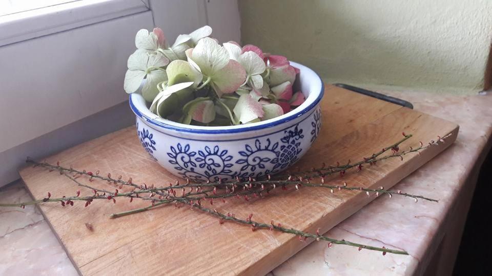 Carrobbio Bed&Breakfast Guest House Cremona Bagian luar foto