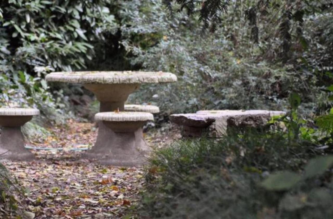 Carrobbio Bed&Breakfast Guest House Cremona Bagian luar foto