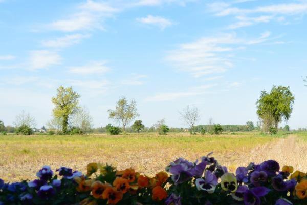 Carrobbio Bed&Breakfast Guest House Cremona Bagian luar foto